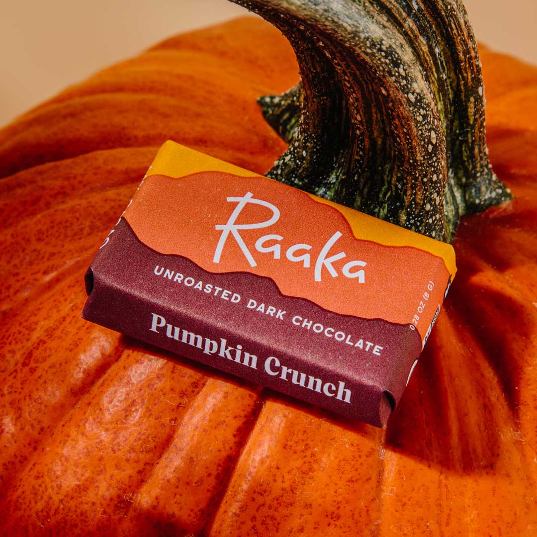 Pumpkin Crunch Mini Chocolate Bars - Fall Halloween Limited - Candycopia