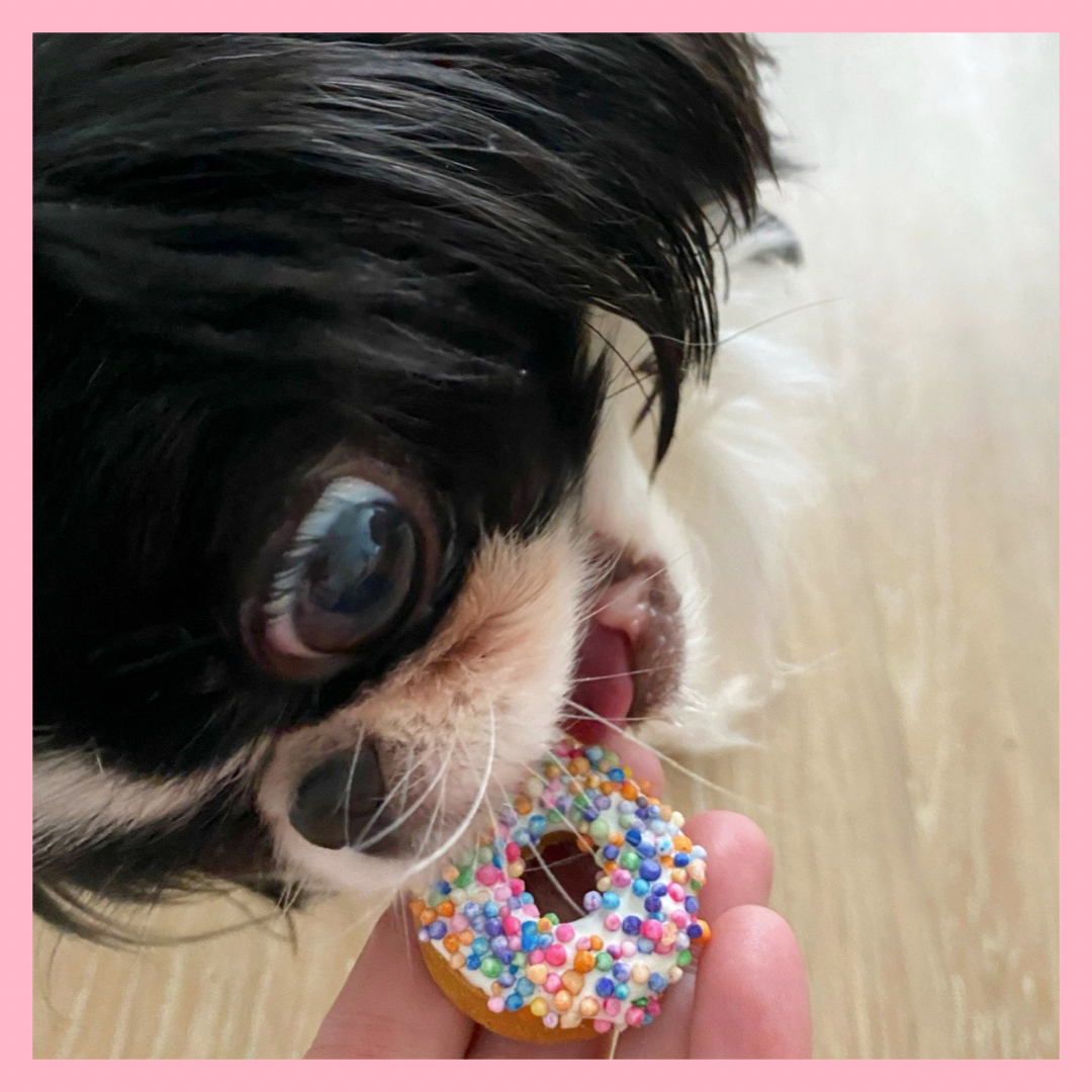 Pup Pawtisserie - 2 Pack Mini Donuts