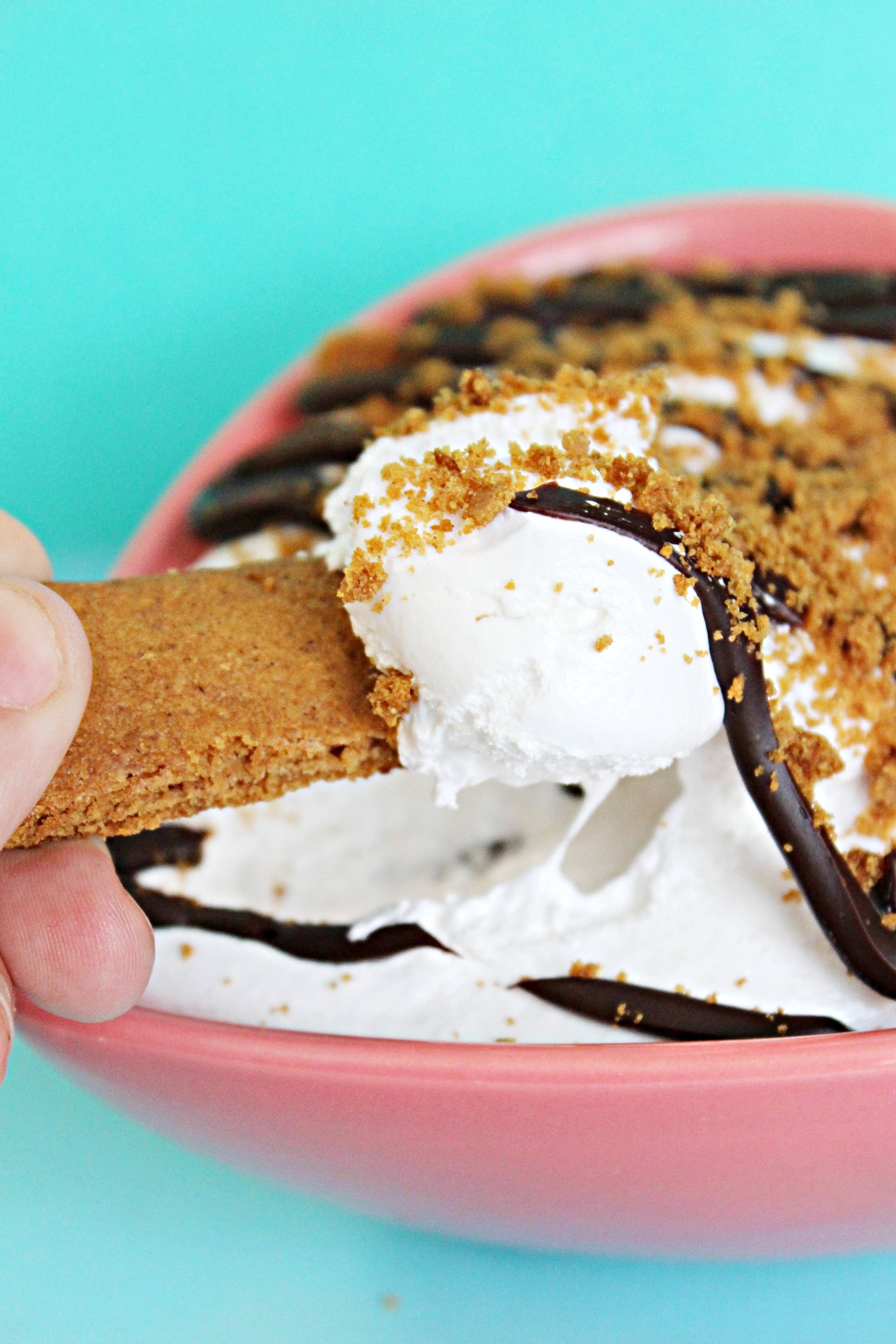 Gimme Gimme S’More Ooey Marshmallow Goodness - Candycopia