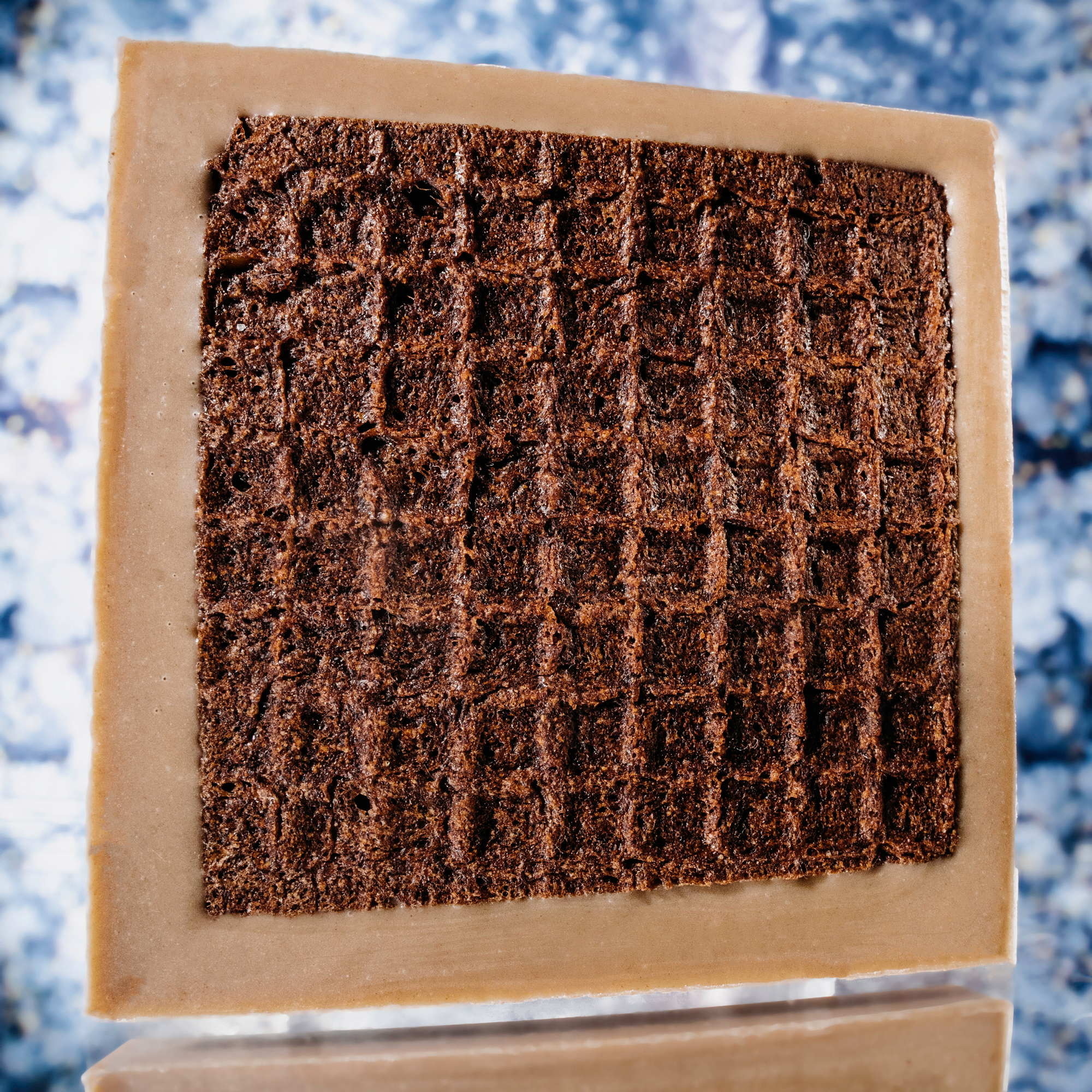 Raaka - Gingerbread Dipped Waffle Cone Bar - Candycopia